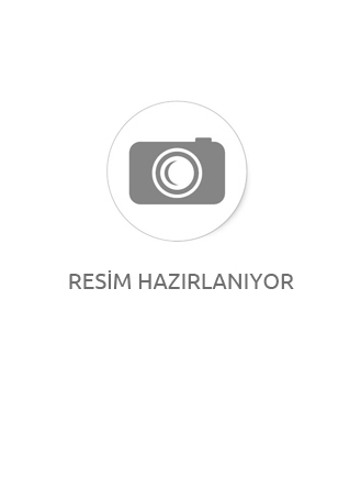 Havaianas Top Tiras Kadın Parmak Arası Altın Terlik 4137428-3581